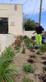 2025 PLANTES MAIRIE.jpg
