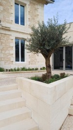 2025 PLANTES MAIRIE3.jpg